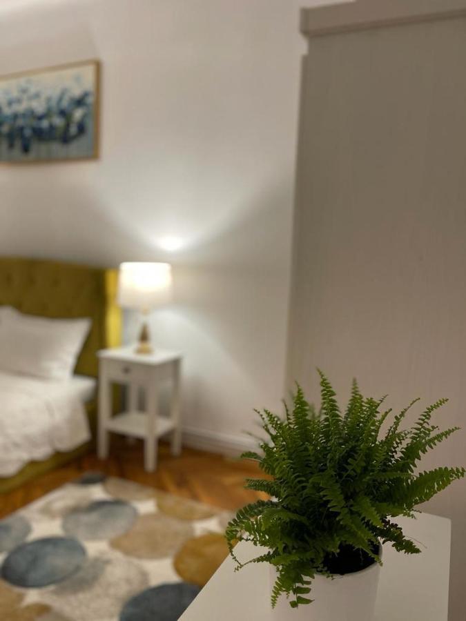 Cityviews Apartment Cluj Экстерьер фото